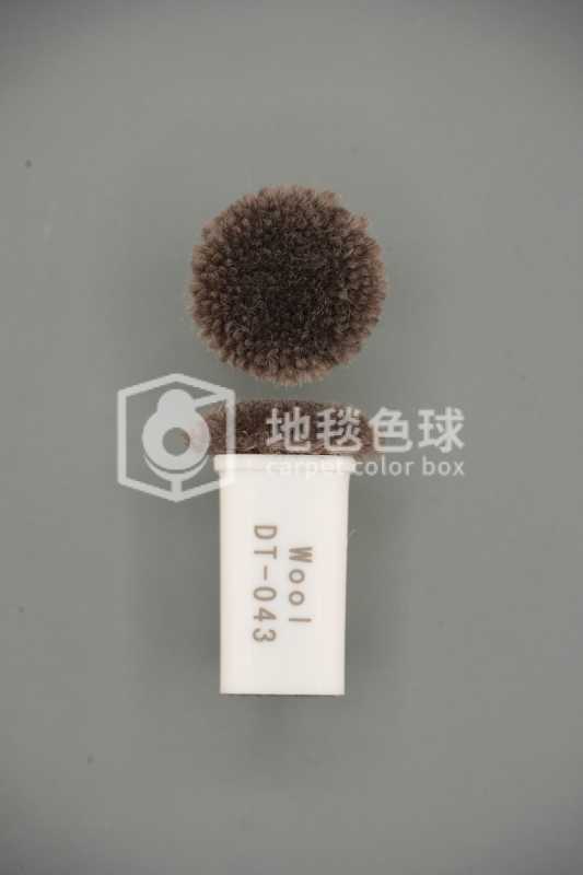 DT 043