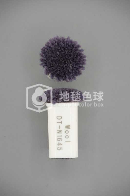 DT N1645
