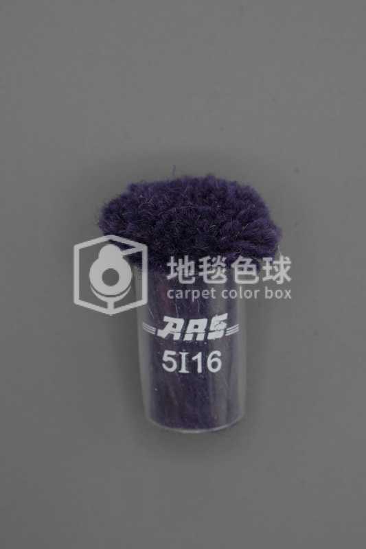 ARS 5I16