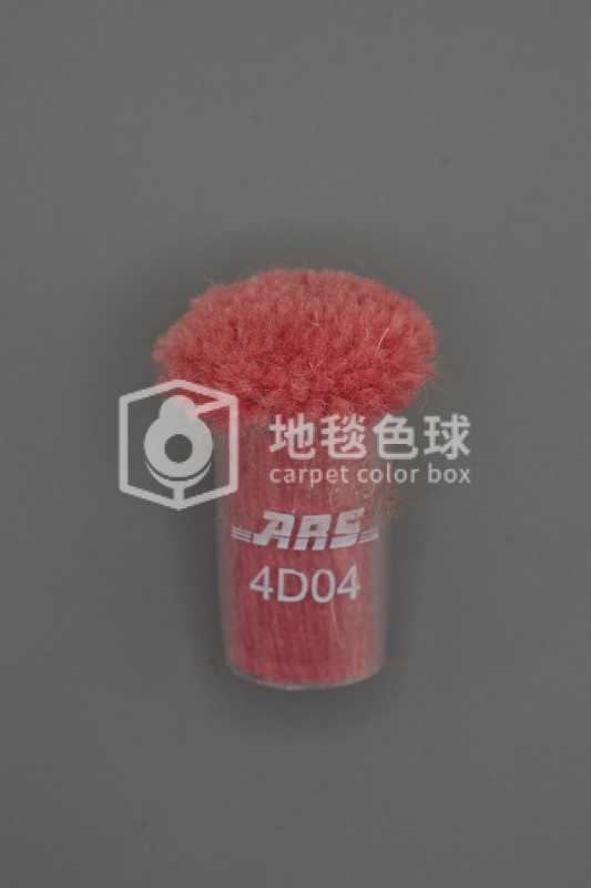 ARS 4D04