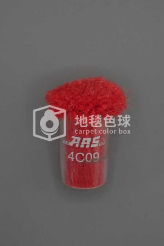 ARS 4C09
