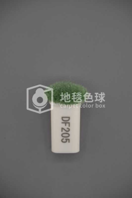 DF205