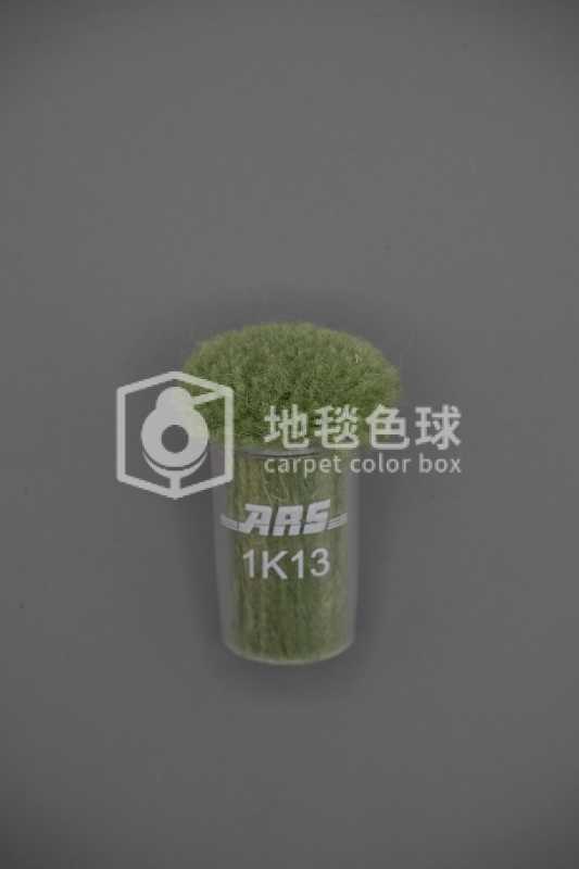 ARS 1K13