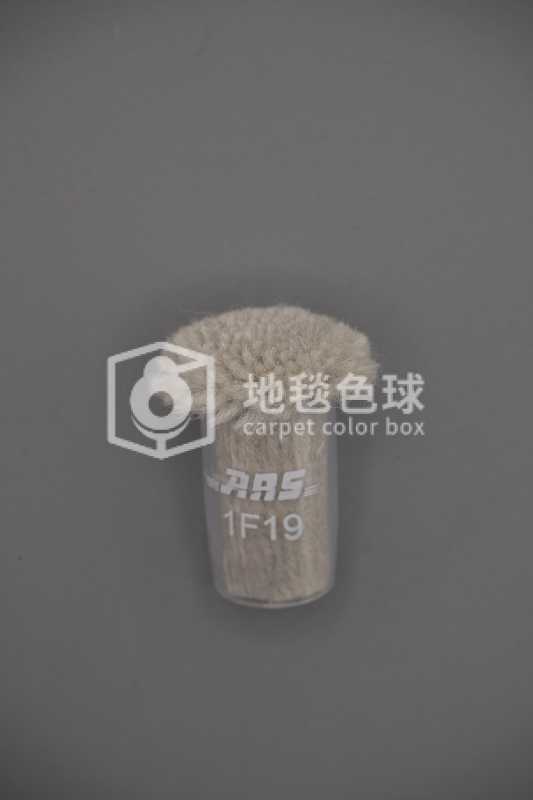 ARS 1F19