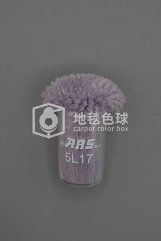 ARS 5L17