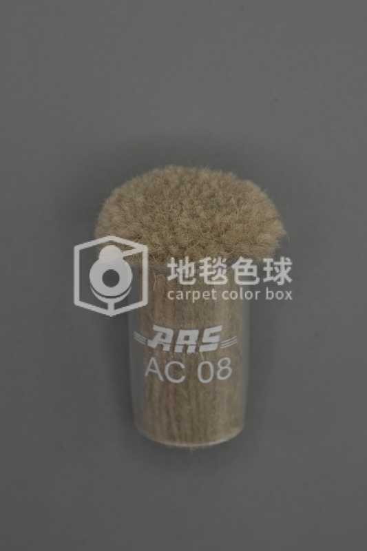 ARS AC08