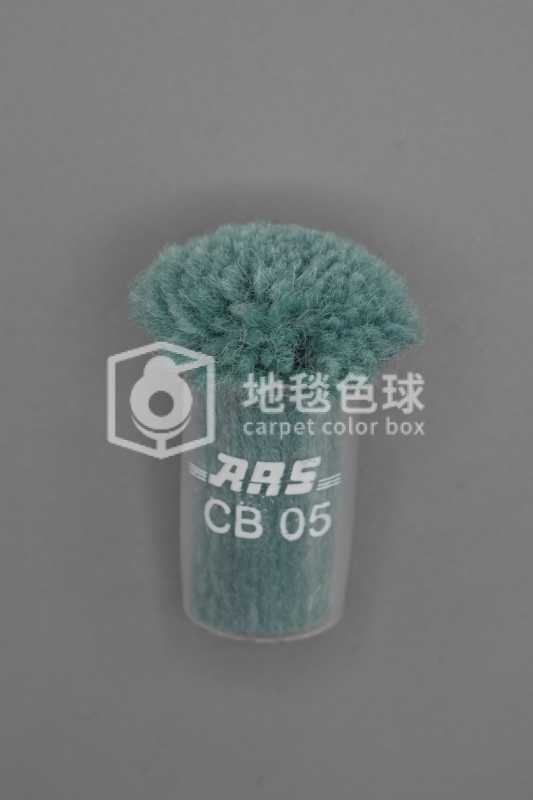 ARS CB05
