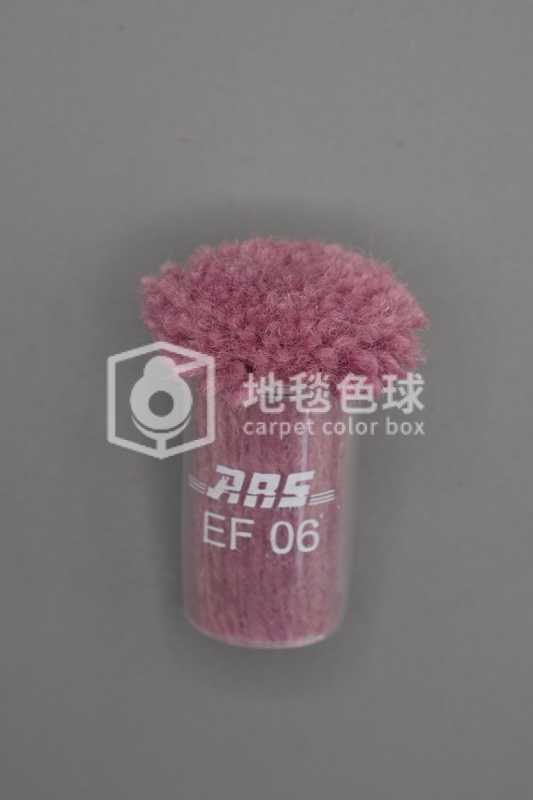 ARS EF06