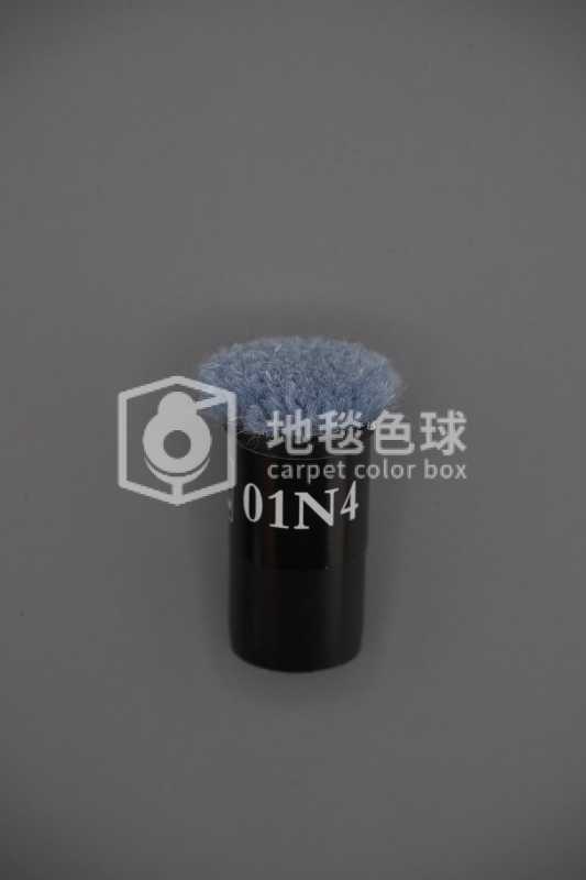 01N4