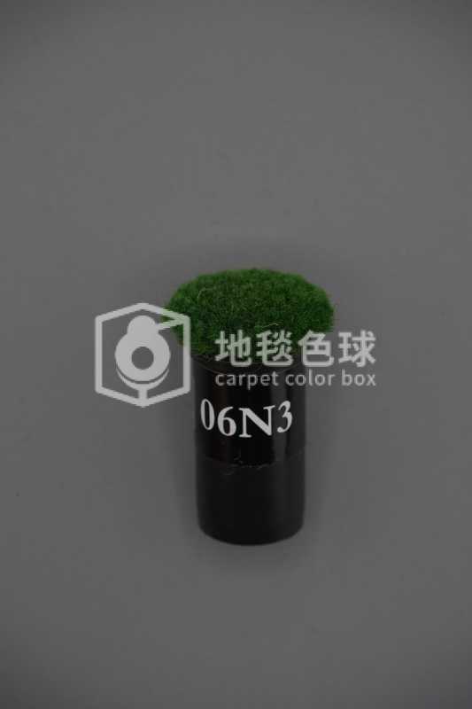 06N3