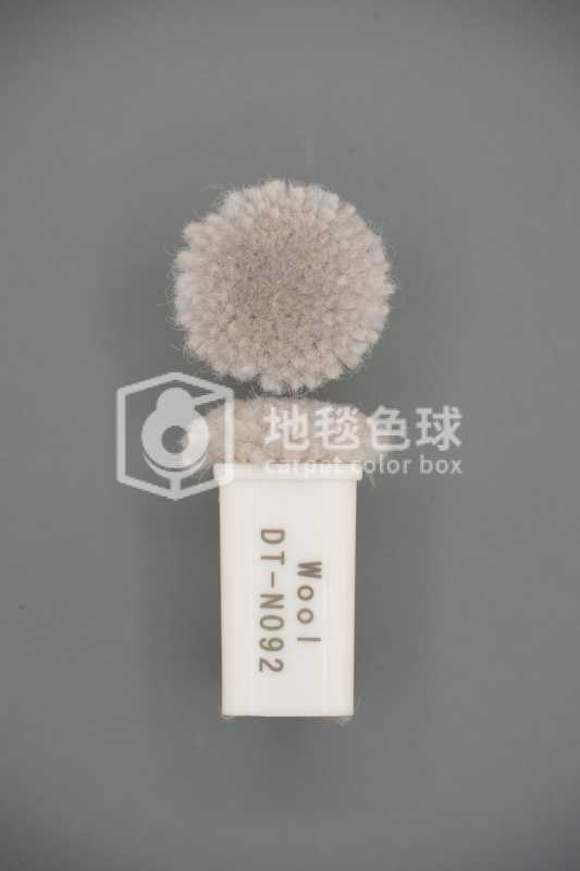 DT N092