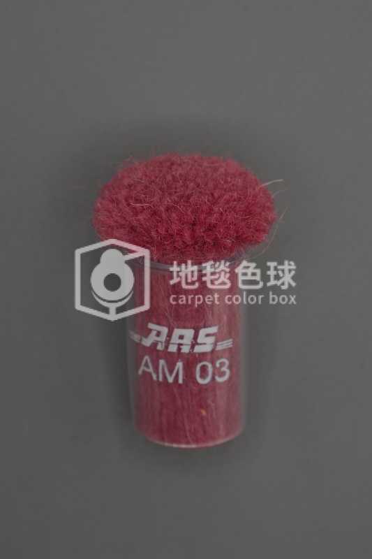 ARS AM03