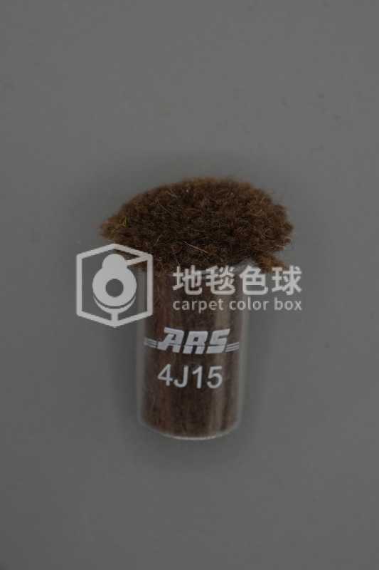ARS 4J15