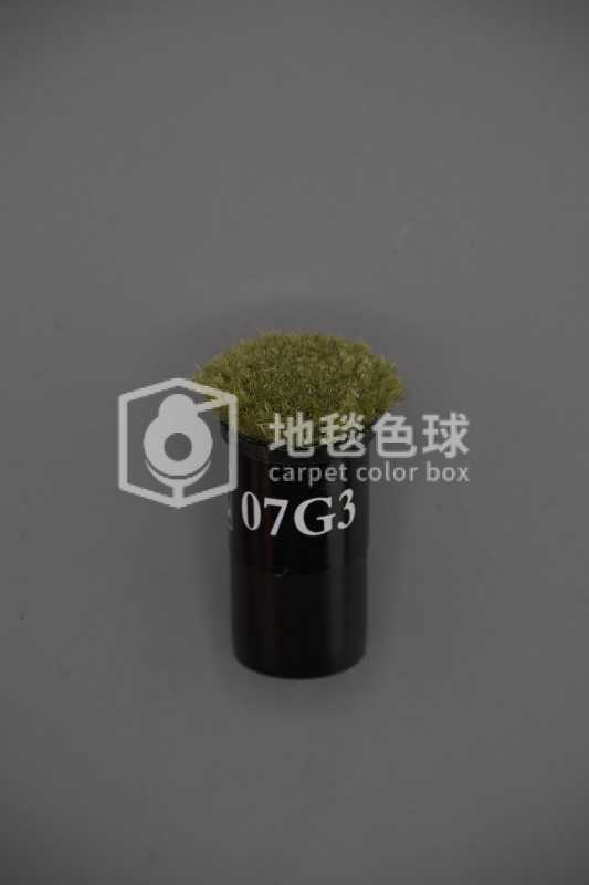 07G3