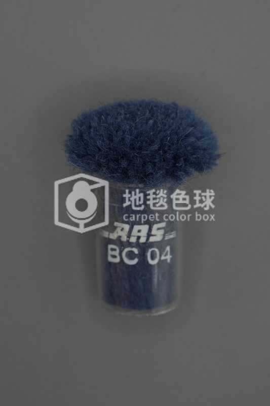 ARS BC04