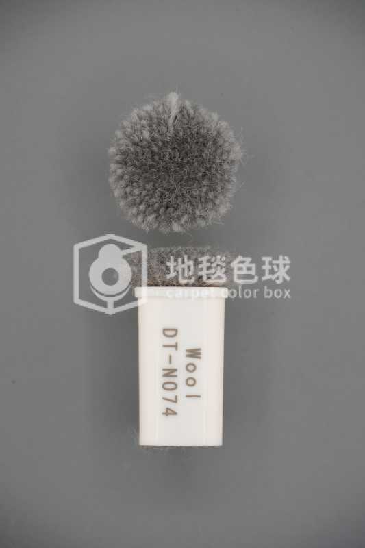 DT N074