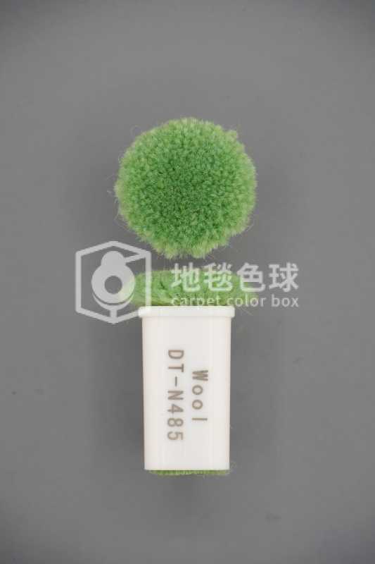 DT N485