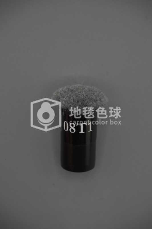 08T1