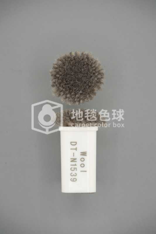 DT N1539