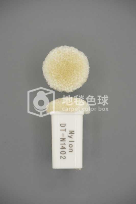 DT N1402
