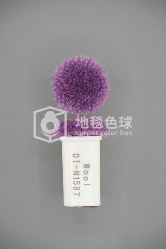 DT N1587