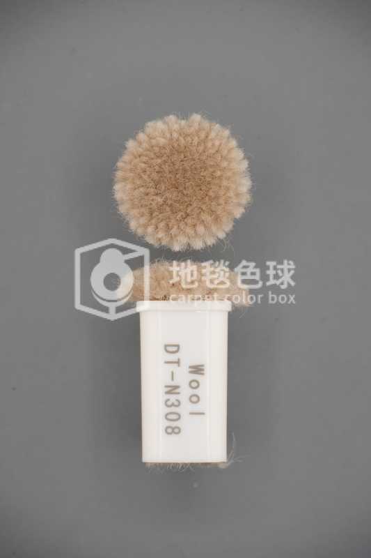 DT N308