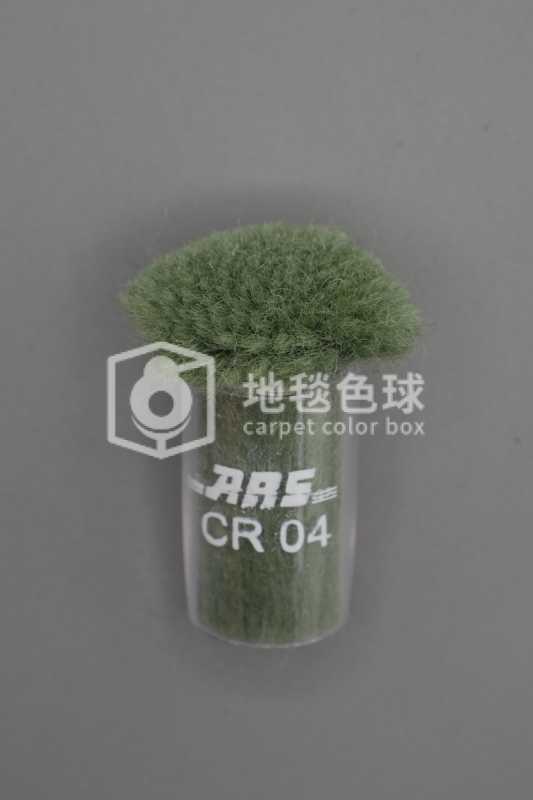 ARS CR04