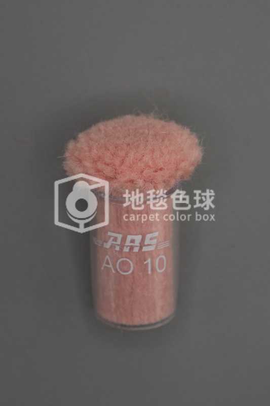 ARS AO10