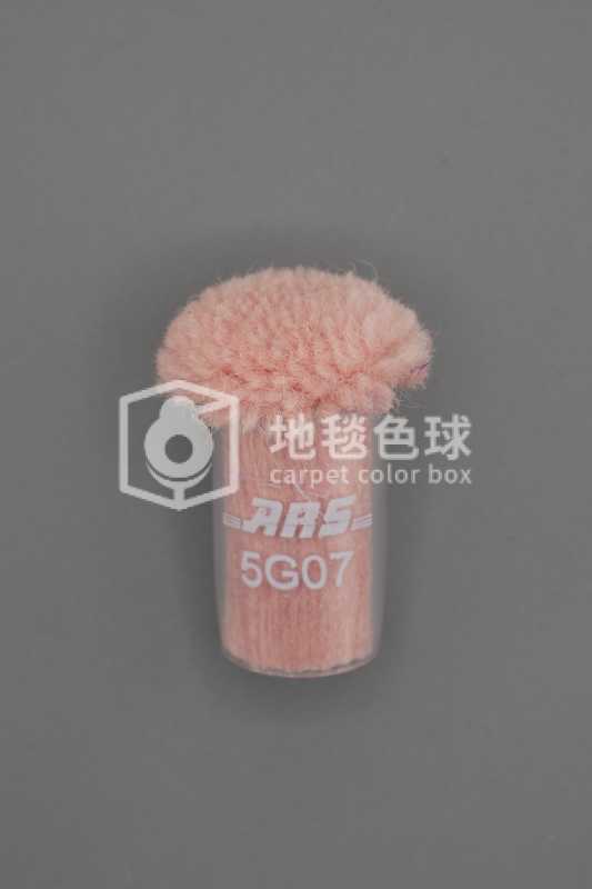 ARS 5G07
