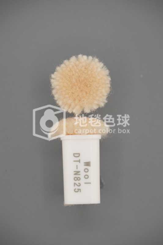 DT N825