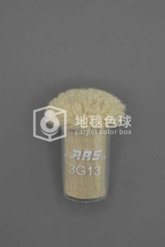 ARS 3G13
