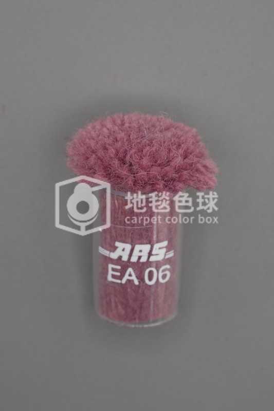 ARS EA06
