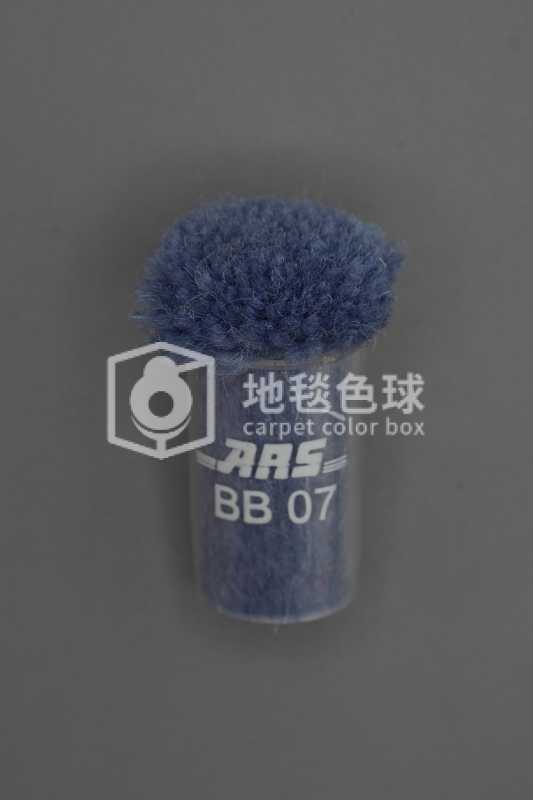 ARS BB07