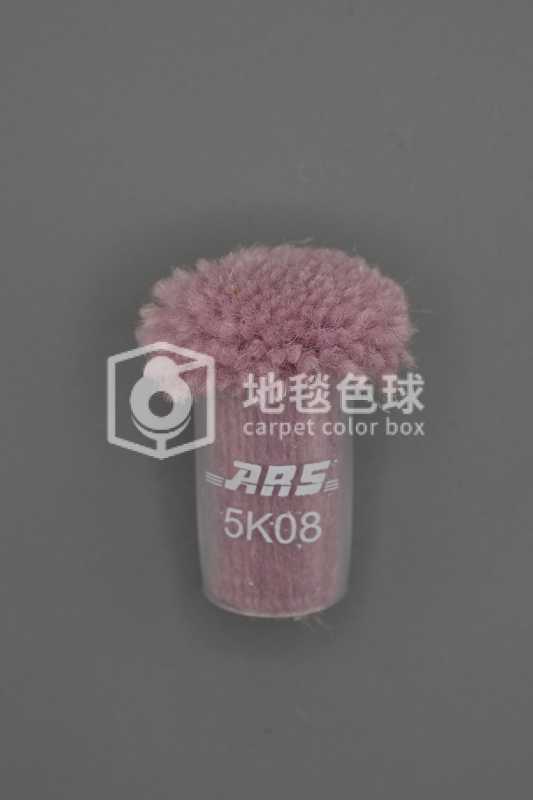 ARS 5K08