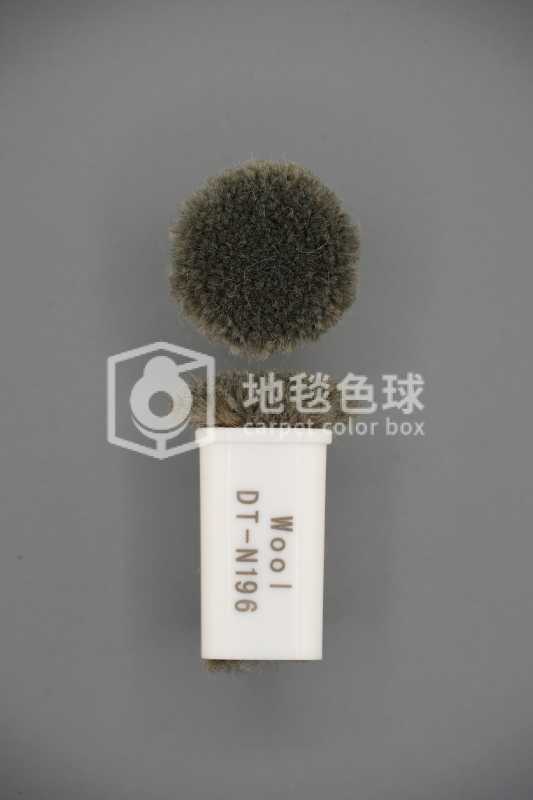 DT N196