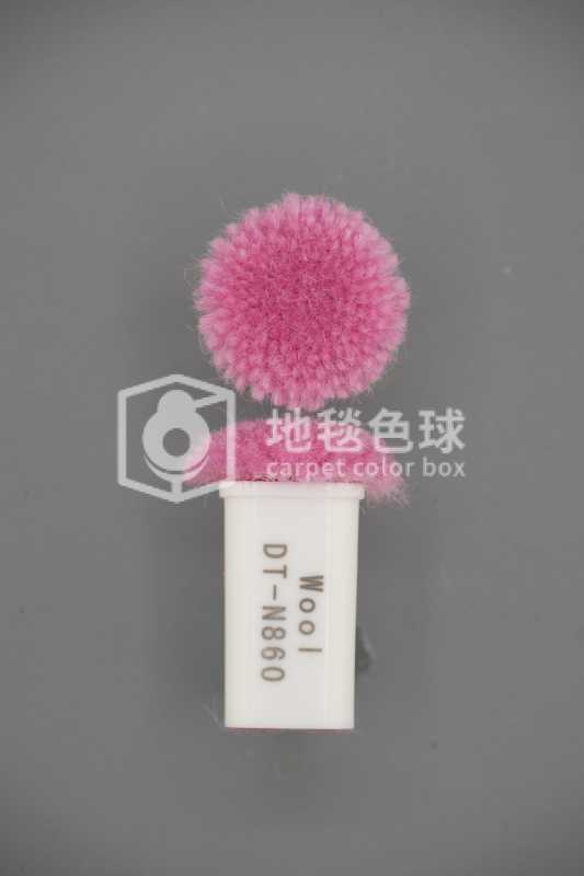 DT N860