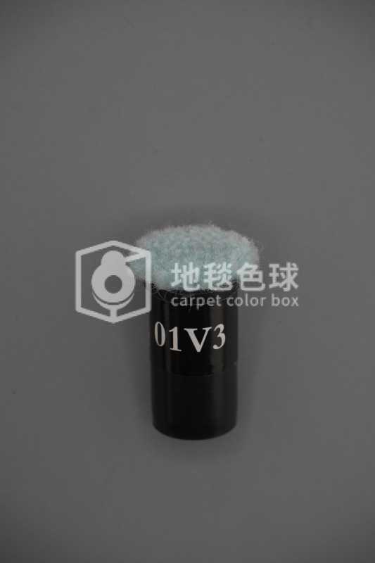 01V3