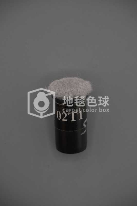 02T1