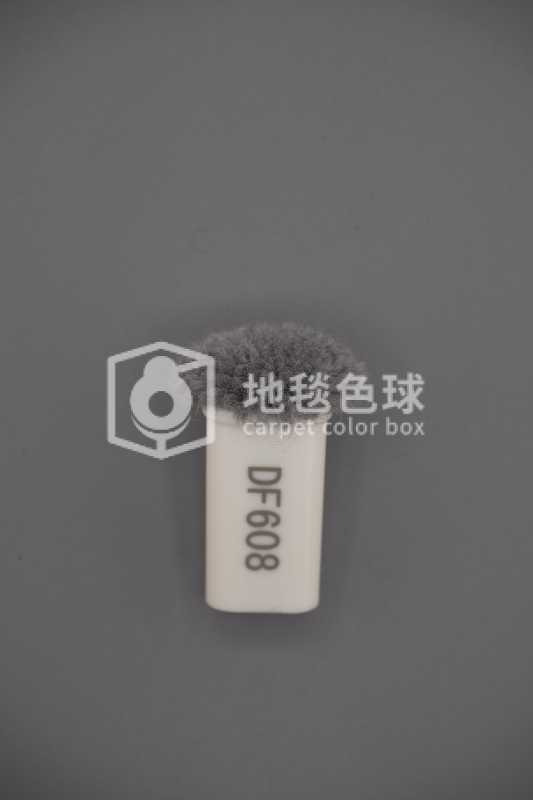 DF608
