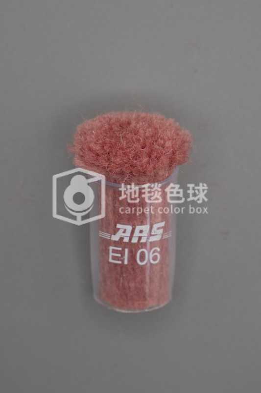 ARS EI06