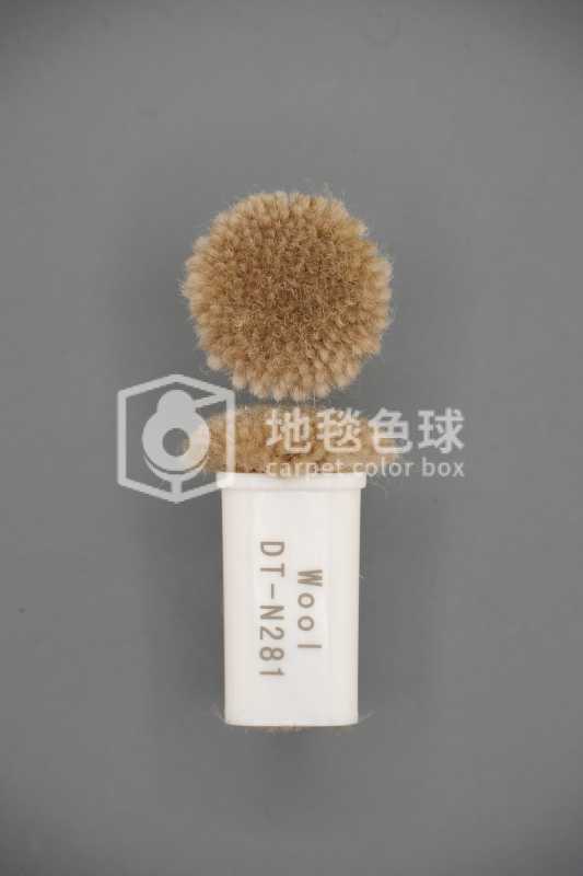 DT N281