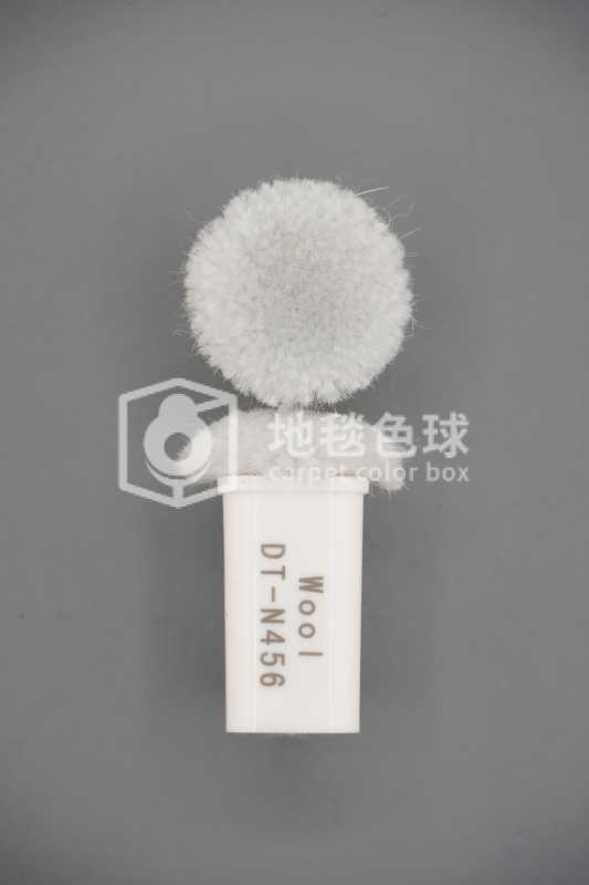 DT N456