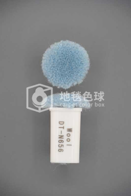 DT N656