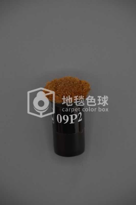 09P2
