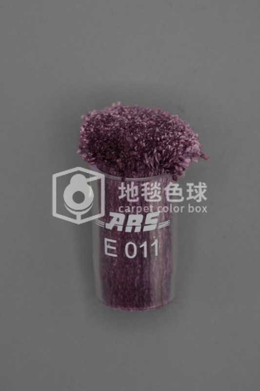 ARS E011