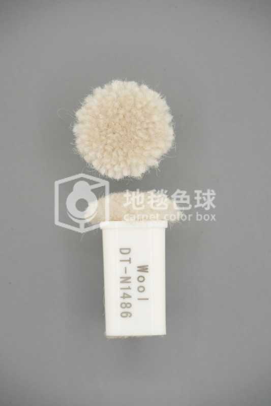 DT N1486