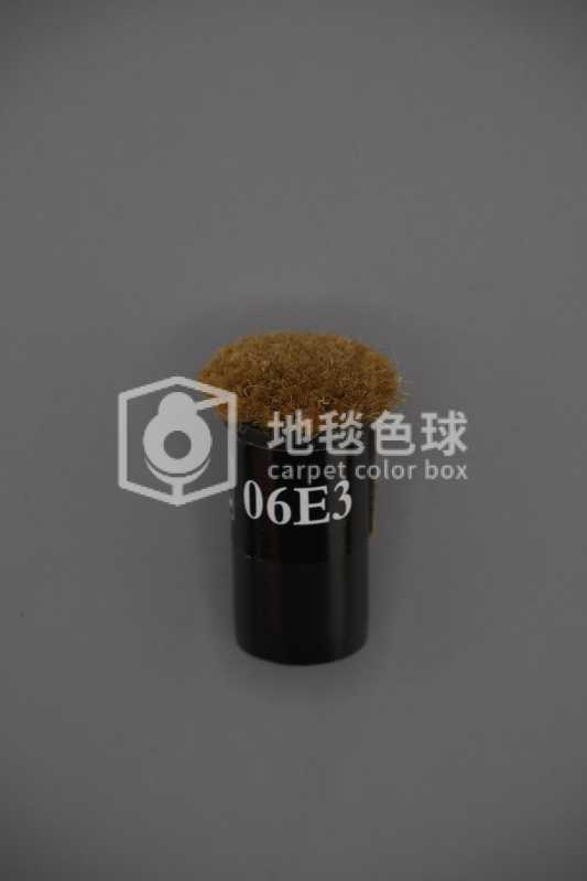06E3
