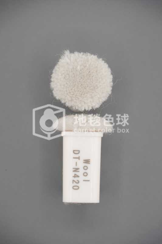 DT N420