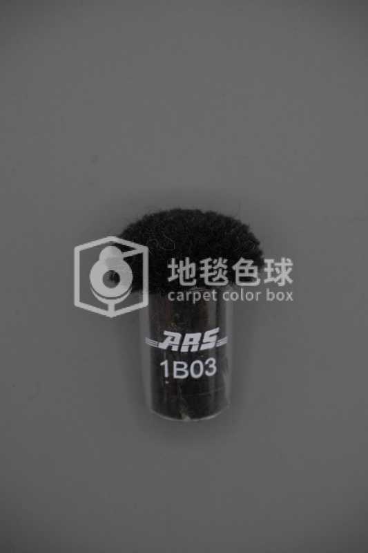 ARS 1B03