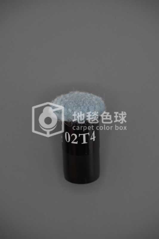 02T4